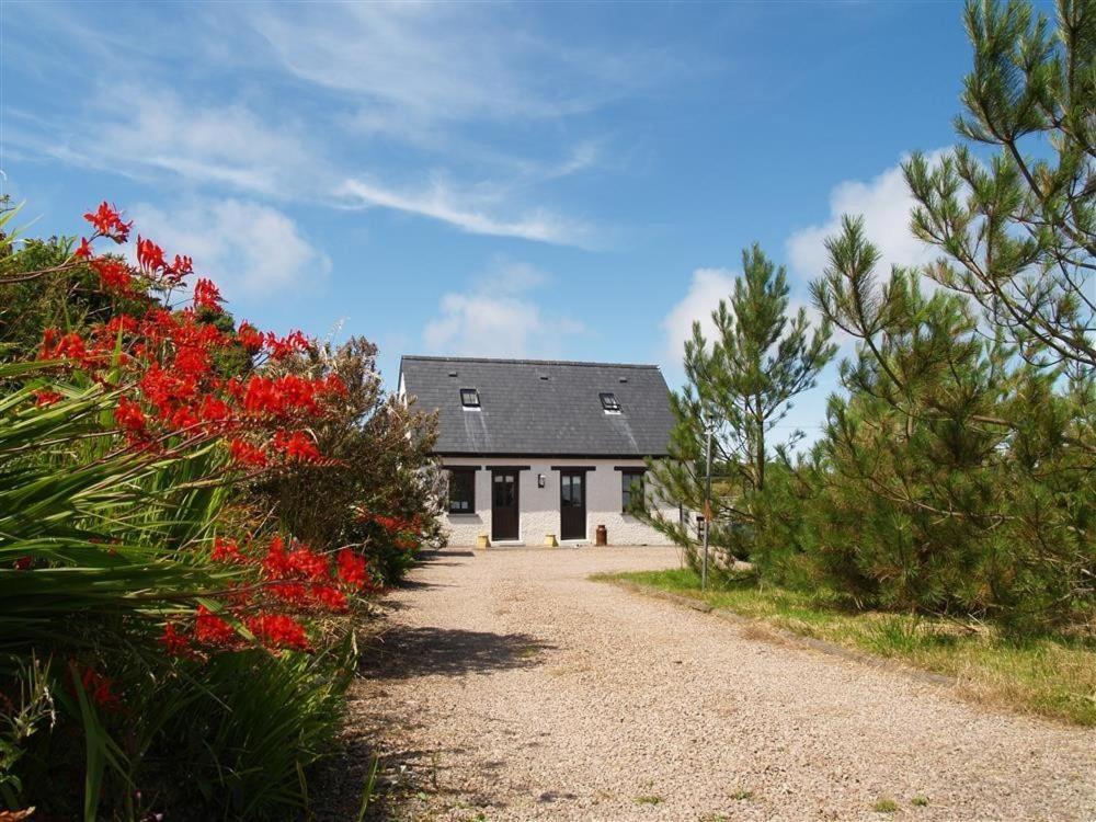 Cockshead Cottage Saint Dogmaels Eksteriør bilde